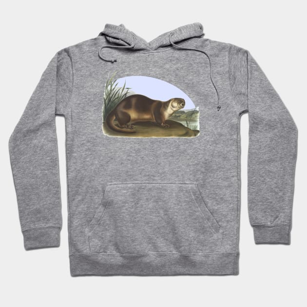 Otter Wildlife Illustration Hoodie by Biophilia